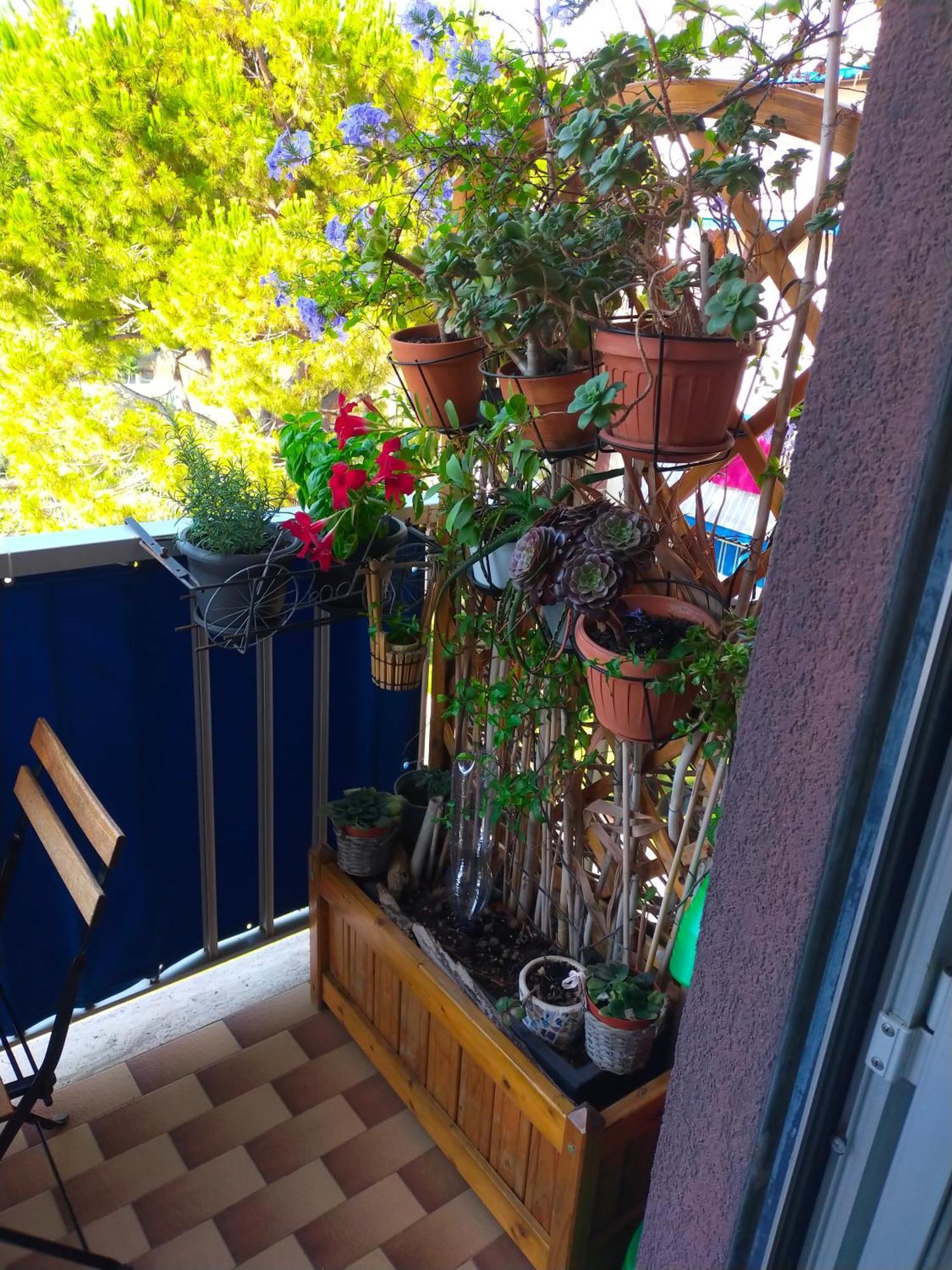 Appartamento Riviera Trilocale Wifi E Parcheggio Privato Βεντιμίλια Εξωτερικό φωτογραφία